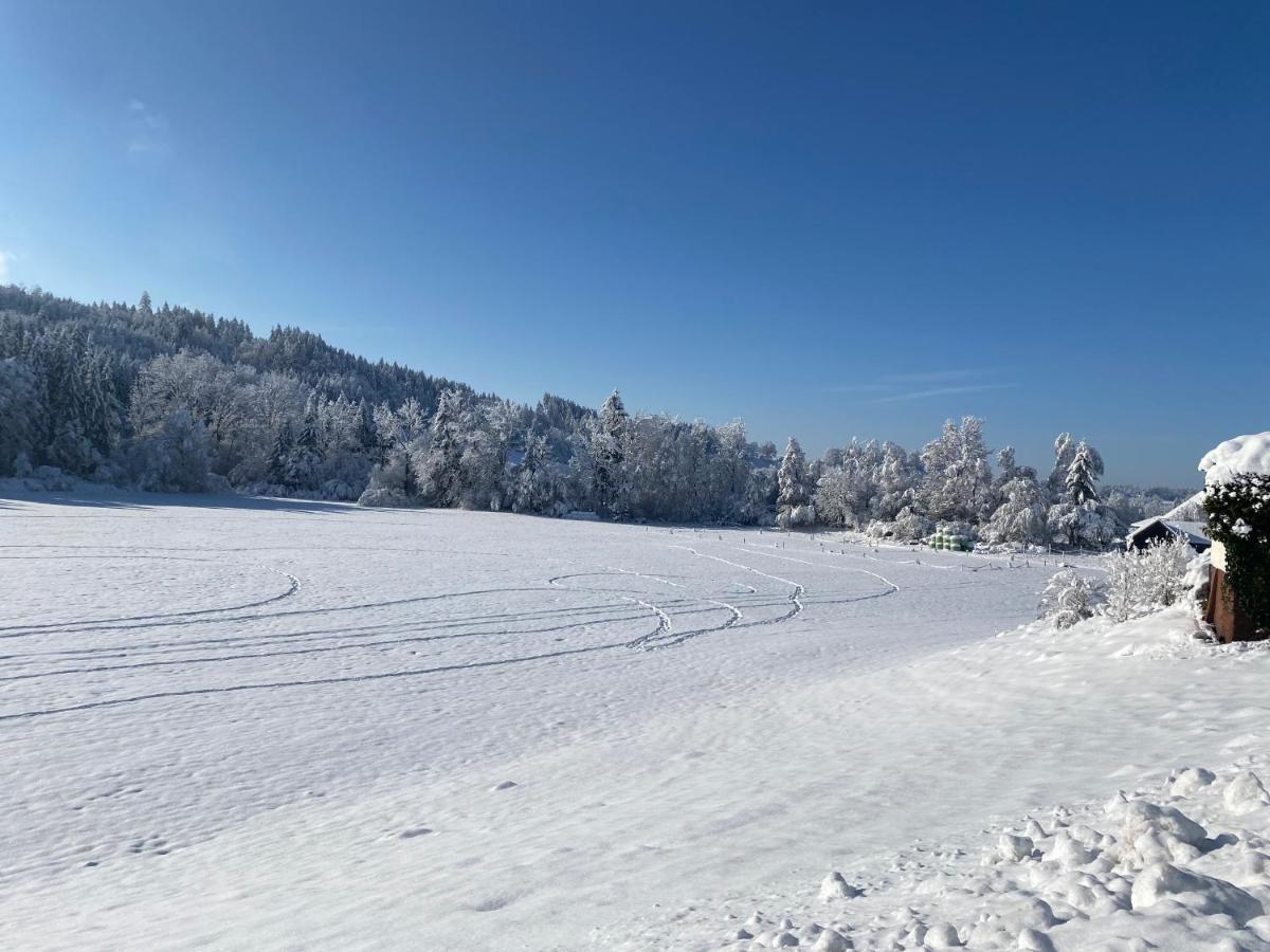 ArgenbuhlAnnahof公寓 外观 照片